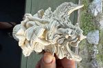Sale Photo Thumbnail #24
