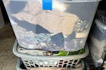 Sale Photo Thumbnail #14