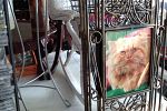 Sale Photo Thumbnail #23