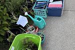 Sale Photo Thumbnail #22