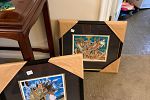 Sale Photo Thumbnail #14
