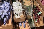 Sale Photo Thumbnail #17