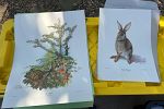 Sale Photo Thumbnail #15