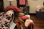 Sale Photo Thumbnail #3