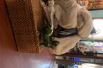 Sale Photo Thumbnail #6