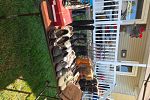 Sale Photo Thumbnail #7