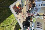 Sale Photo Thumbnail #10