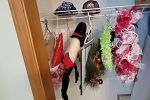 Sale Photo Thumbnail #37