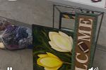 Sale Photo Thumbnail #24