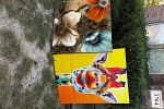 Sale Photo Thumbnail #2