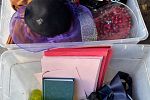 Sale Photo Thumbnail #3