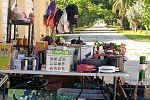 Sale Photo Thumbnail #8