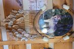 Sale Photo Thumbnail #27