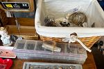 Sale Photo Thumbnail #3