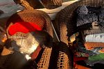 Sale Photo Thumbnail #2