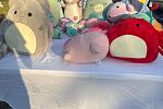 Sale Photo Thumbnail #5