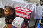 Sale Photo Thumbnail #20