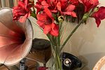 Sale Photo Thumbnail #62