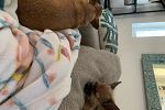 Sale Photo Thumbnail #18
