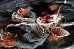 Sale Photo Thumbnail #22