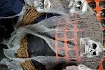 Sale Photo Thumbnail #28