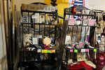 Sale Photo Thumbnail #2