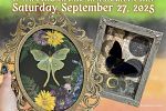 Sale Photo Thumbnail #14