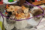 Sale Photo Thumbnail #4