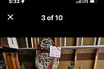 Sale Photo Thumbnail #7