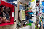 Sale Photo Thumbnail #13