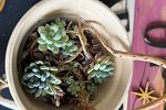 Sale Photo Thumbnail #10