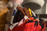 Sale Photo Thumbnail #3