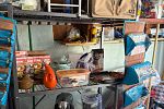 Sale Photo Thumbnail #18