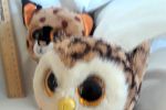 Sale Photo Thumbnail #8
