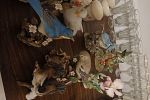 Sale Photo Thumbnail #20