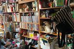 Sale Photo Thumbnail #14
