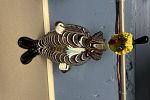 Sale Photo Thumbnail #105