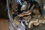 Sale Photo Thumbnail #4