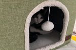 Sale Photo Thumbnail #15