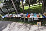 Sale Photo Thumbnail #19