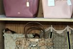 Sale Photo Thumbnail #46