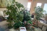 Sale Photo Thumbnail #30