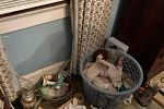 Sale Photo Thumbnail #47
