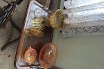 Sale Photo Thumbnail #26