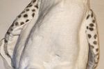 Sale Photo Thumbnail #44