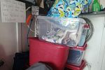 Sale Photo Thumbnail #5