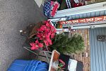 Sale Photo Thumbnail #14