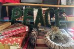 Sale Photo Thumbnail #47