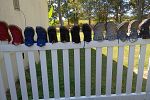 Sale Photo Thumbnail #24