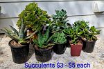 Sale Photo Thumbnail #9